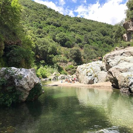 FERULA romantica mansarda tra fiumi e montagne Sardegna Villa Seùlo Esterno foto