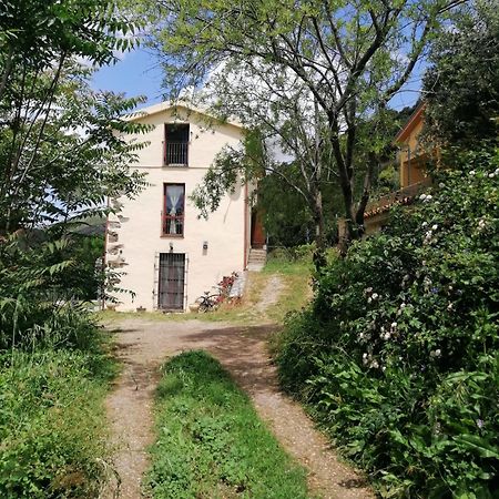 FERULA romantica mansarda tra fiumi e montagne Sardegna Villa Seùlo Esterno foto