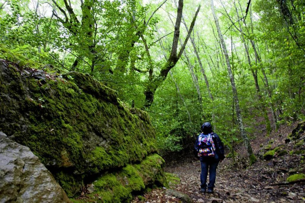 FERULA romantica mansarda tra fiumi e montagne Sardegna Villa Seùlo Esterno foto