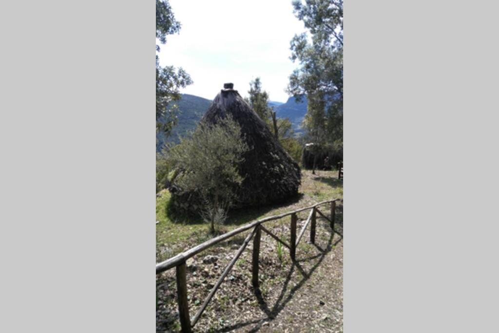 FERULA romantica mansarda tra fiumi e montagne Sardegna Villa Seùlo Esterno foto