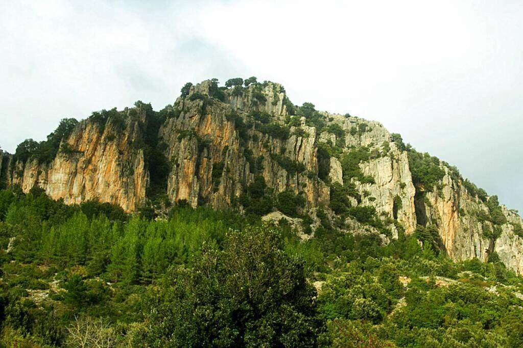 FERULA romantica mansarda tra fiumi e montagne Sardegna Seùlo Esterno foto