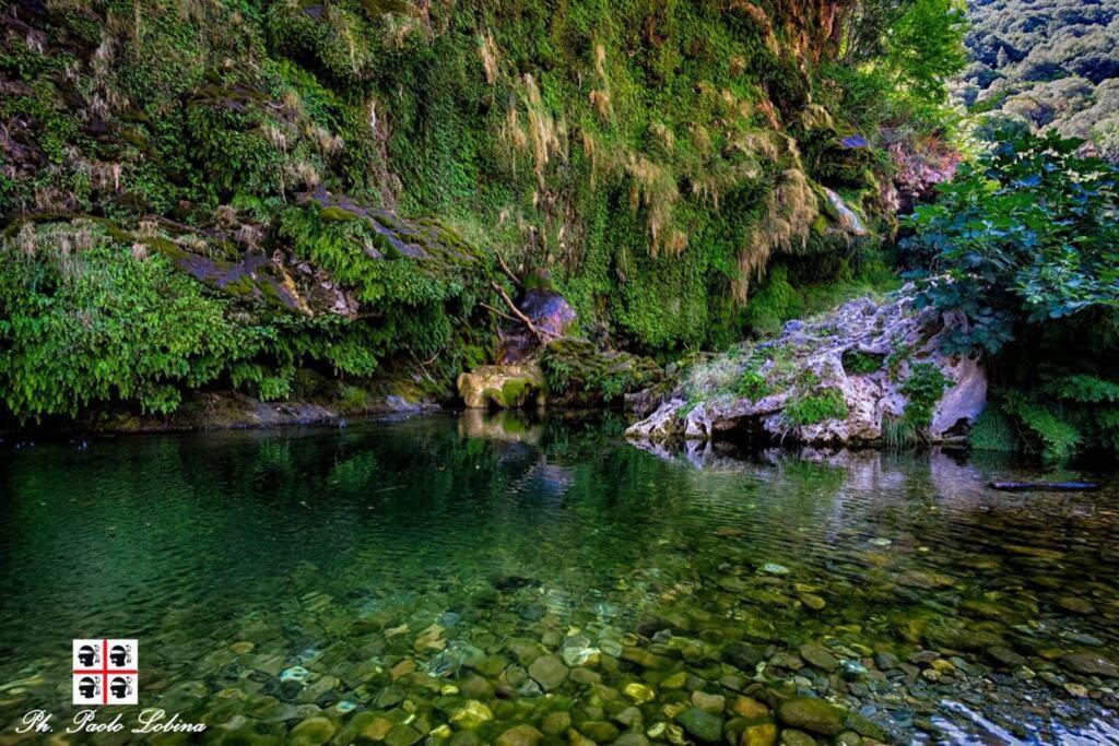 FERULA romantica mansarda tra fiumi e montagne Sardegna Seùlo Esterno foto