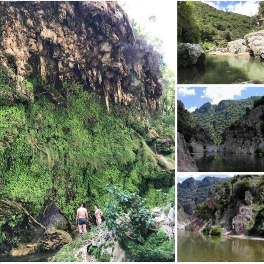 FERULA romantica mansarda tra fiumi e montagne Sardegna Villa Seùlo Esterno foto