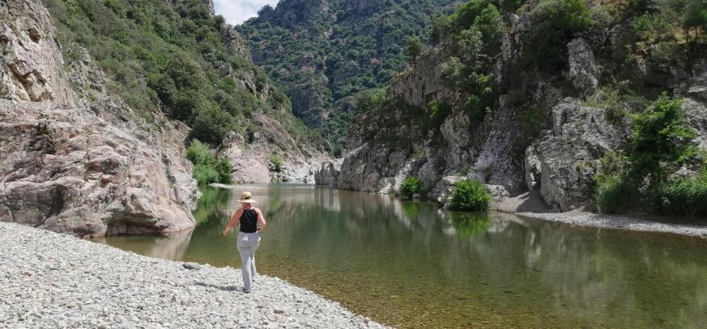 FERULA romantica mansarda tra fiumi e montagne Sardegna Villa Seùlo Esterno foto